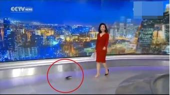 女主播勾鞋视频全集